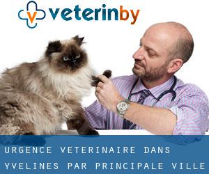 Urgence vétérinaire dans Yvelines par principale ville - page 4