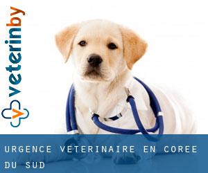 Urgence vétérinaire en Corée du Sud Urgence vétérinaire en Corée du Sud