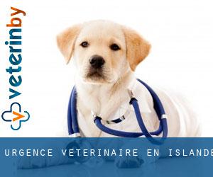 Urgence vétérinaire en Islande Urgence vétérinaire en Islande