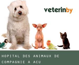 Hôpital des animaux de compagnie à Açu