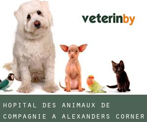 Hôpital des animaux de compagnie à Alexanders Corner