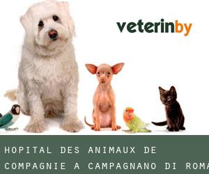 Hôpital des animaux de compagnie à Campagnano di Roma