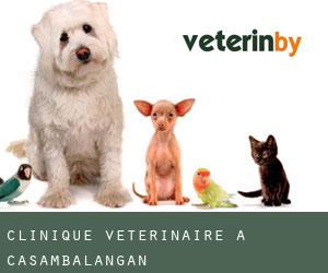 Clinique vétérinaire à Casambalangan