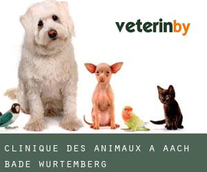 Clinique des animaux à Aach (Bade-Wurtemberg)