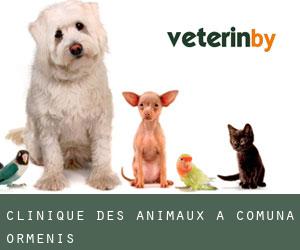 Clinique des animaux à Comuna Ormeniş