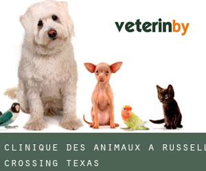 Clinique des animaux à Russell Crossing (Texas)