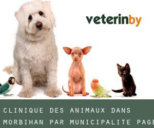 Clinique des animaux dans Morbihan par municipalité - page 5