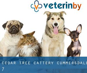 Cedar Tree Cattery (Cummersdale) #7