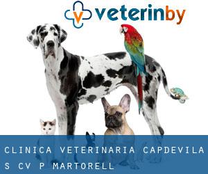 Clínica Veterinaria Capdevila S Cv P (Martorell)