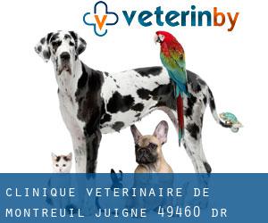 Clinique Vétérinaire de Montreuil-Juigné 49460 /Dr Gagnet et Renaud