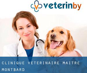 Clinique Vétérinaire Maitre (Montbard)