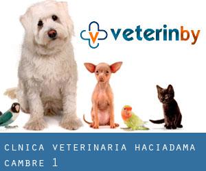 CLÍNICA VETERINARIA HACIADAMA (Cambre) #1
