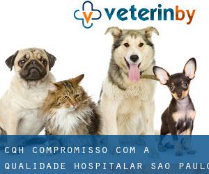 CQH - Compromisso com a Qualidade Hospitalar (São Paulo)