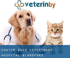 Crater Road Veterinary Hospital (Blandford)