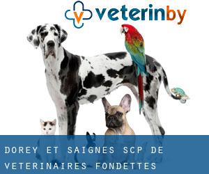 Dorey et Saignes SCP de vétérinaires (Fondettes)