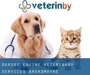 Dorset Equine Veterinary Services (Broadmayne)