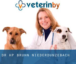 Dr. H.P. Bruhn (Niederdünzebach)