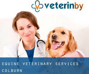 Equine Veterinary Services (Colburn)