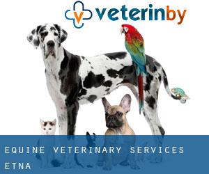 Equine Veterinary Services (Etna)
