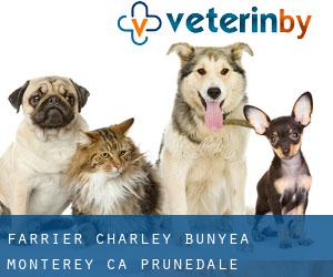Farrier Charley Bunyea Monterey CA (Prunedale)
