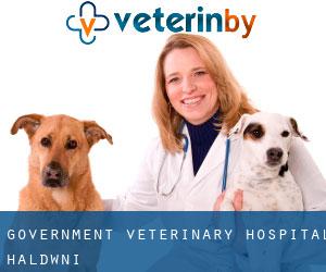 Government Veterinary Hospital (Haldwāni)