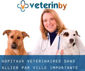 hôpitaux vétérinaires dans Allier par ville importante - page 1