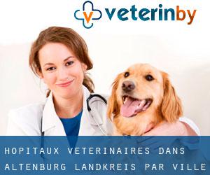 hôpitaux vétérinaires dans Altenburg Landkreis par ville importante - page 1