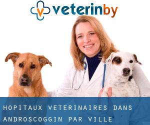 hôpitaux vétérinaires dans Androscoggin par ville importante - page 1