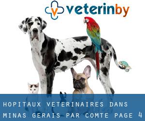 hôpitaux vétérinaires dans Minas Gerais par Comté - page 4