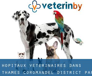 hôpitaux vétérinaires dans Thames-Coromandel District par principale ville - page 1