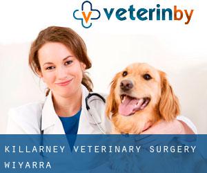 Killarney Veterinary Surgery (Wiyarra)