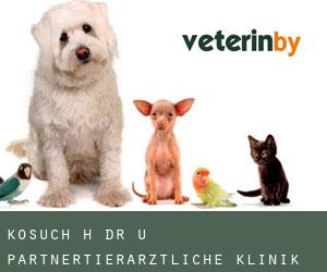 Kosuch H. Dr. u. Partner/Tierärztliche Klinik/ (Düdinghausen)