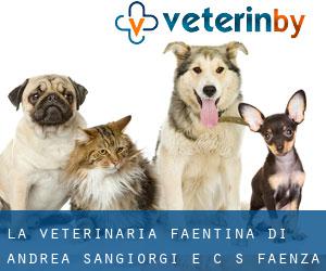 La Veterinaria Faentina Di Andrea Sangiorgi E C. S (Faenza)