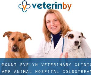 Mount Evelyn Veterinary Clinic & Animal Hospital (Coldstream)