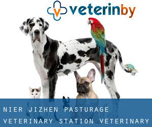 Ni'er Jizhen Pasturage Veterinary Station Veterinary Out-patient Department (Nirji)