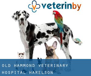 Old Hammond Veterinary Hospital (Harelson)