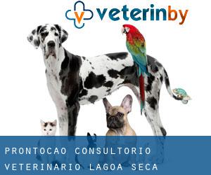 Prontocão Consultório Veterinário (Lagoa Seca)