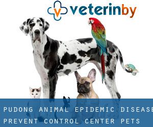 Pudong Animal Epidemic Disease Prevent Control Center Pets Out-patient Department