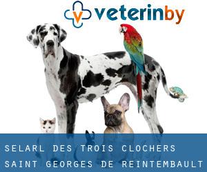 Selarl Des Trois Clochers (Saint-Georges-de-Reintembault)