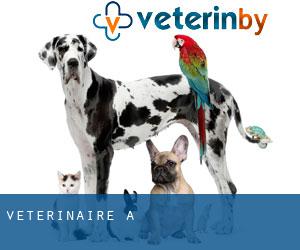 vétérinaire à 연천군 vétérinaire à 연천군