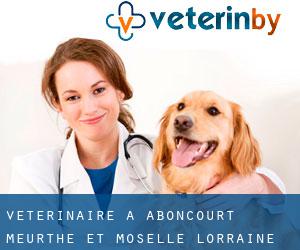 vétérinaire à Aboncourt (Meurthe-et-Moselle, Lorraine)