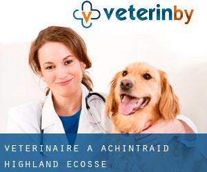 vétérinaire à Achintraid (Highland, Ecosse)