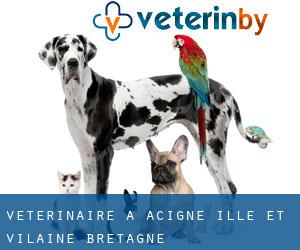 vétérinaire à Acigné (Ille-et-Vilaine, Bretagne)