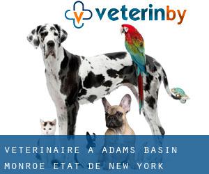 vétérinaire à Adams Basin (Monroe, État de New York)