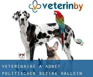 vétérinaire à Adnet (Politischer Bezirk Hallein, Salzbourg)