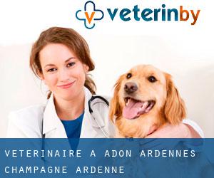 vétérinaire à Adon (Ardennes, Champagne-Ardenne)