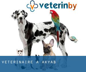 vétérinaire à Akyab