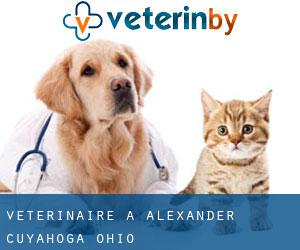 vétérinaire à Alexander (Cuyahoga, Ohio)