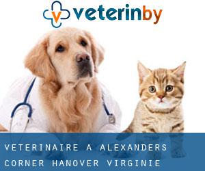 vétérinaire à Alexanders Corner (Hanover, Virginie)