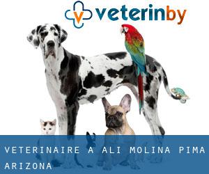 vétérinaire à Ali Molina (Pima, Arizona)